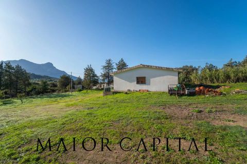 Tomt i Oliena, Nuoro, Oliena - € 449 000 | Ref: NUV-02-24 - foto 13