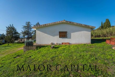 Tomt i Oliena, Nuoro, Oliena - € 449 000 | Ref: NUV-02-24 - foto 14