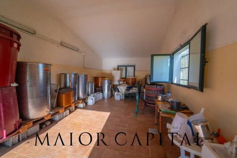 Tomt i Oliena, Nuoro, Oliena - € 449 000 | Ref: NUV-02-24 - foto 19