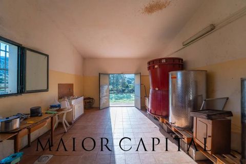 Tomt i Oliena, Nuoro, Oliena - € 449 000 | Ref: NUV-02-24 - foto 20