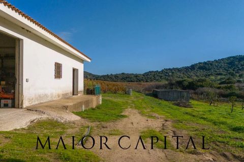Tomt i Oliena, Nuoro, Oliena - € 449 000 | Ref: NUV-02-24 - foto 22