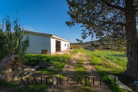 Tomt i Oliena, Nuoro, Oliena - € 449 000 | Ref: NUV-02-24 - foto 23