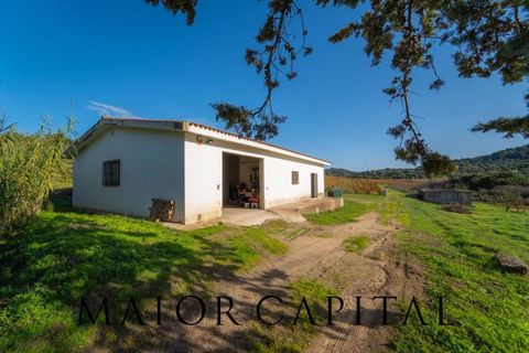 Tomt i Oliena, Nuoro, Oliena - € 449 000 | Ref: NUV-02-24 - foto 24