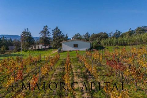Tomt i Oliena, Nuoro, Oliena - € 449 000 | Ref: NUV-02-24 - foto 25