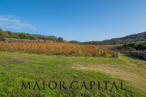 Tomt i Oliena, Nuoro, Oliena - € 449 000 | Ref: NUV-02-24 - foto 27