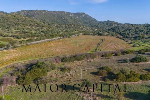 Tomt i Oliena, Nuoro, Oliena - € 449 000 | Ref: NUV-02-24 - foto 28