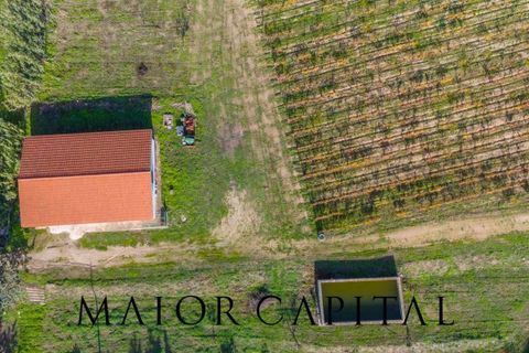 Tomt i Oliena, Nuoro, Oliena - € 449 000 | Ref: NUV-02-24 - foto 29