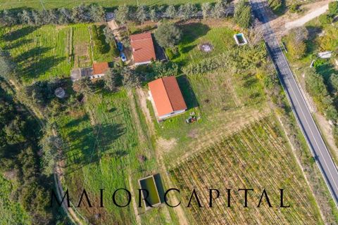 Tomt i Oliena, Nuoro, Oliena - € 449 000 | Ref: NUV-02-24 - foto 30
