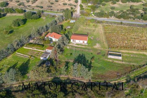 Tomt i Oliena, Nuoro, Oliena - € 449 000 | Ref: NUV-02-24 - foto 31