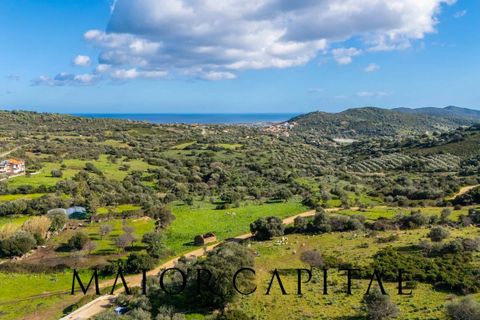 Villa a Budoni, Sassari, Budoni - € 535.000 | Ref: BUV-02-26 - foto 2