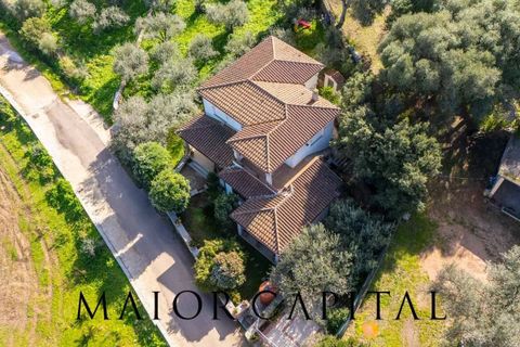 Villa a Budoni, Sassari, Budoni - € 535.000 | Ref: BUV-02-26 - foto 3