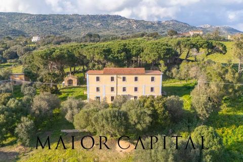 Villa i Luogosanto, Sassari, Luogosanto - € 595.000 | Ref: PLV-01-25 - foto 1