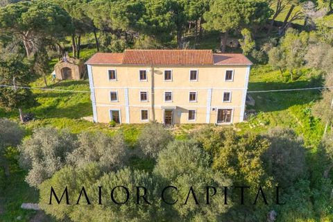 Villa i Luogosanto, Sassari, Luogosanto - € 595.000 | Ref: PLV-01-25 - foto 2