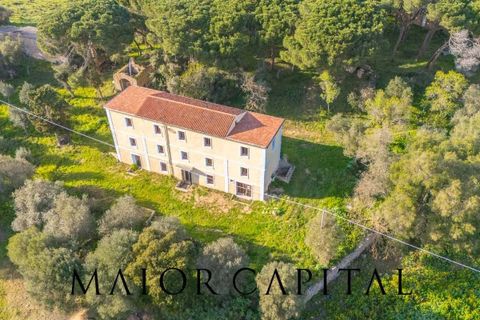 Villa i Luogosanto, Sassari, Luogosanto - € 595.000 | Ref: PLV-01-25 - foto 4