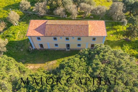 Villa i Luogosanto, Sassari, Luogosanto - € 595.000 | Ref: PLV-01-25 - foto 5
