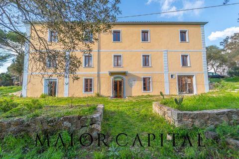 Villa i Luogosanto, Sassari, Luogosanto - € 595.000 | Ref: PLV-01-25 - foto 6