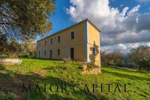 Villa i Luogosanto, Sassari, Luogosanto - € 595.000 | Ref: PLV-01-25 - foto 25