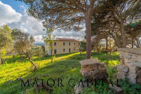 Villa i Luogosanto, Sassari, Luogosanto - € 595.000 | Ref: PLV-01-25 - foto 26