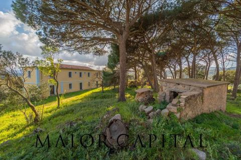 Villa i Luogosanto, Sassari, Luogosanto - € 595.000 | Ref: PLV-01-25 - foto 27
