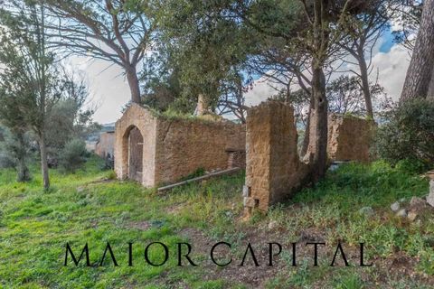 Villa i Luogosanto, Sassari, Luogosanto - € 595.000 | Ref: PLV-01-25 - foto 28