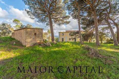 Villa i Luogosanto, Sassari, Luogosanto - € 595.000 | Ref: PLV-01-25 - foto 29