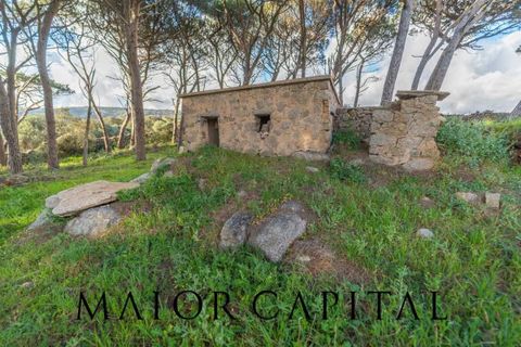 Villa i Luogosanto, Sassari, Luogosanto - € 595.000 | Ref: PLV-01-25 - foto 30