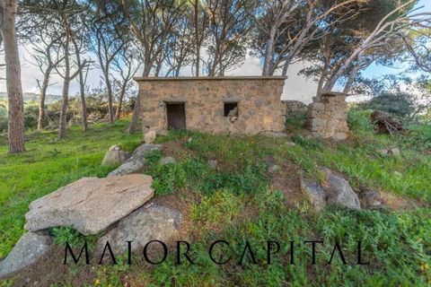 Villa i Luogosanto, Sassari, Luogosanto - € 595.000 | Ref: PLV-01-25 - foto 31