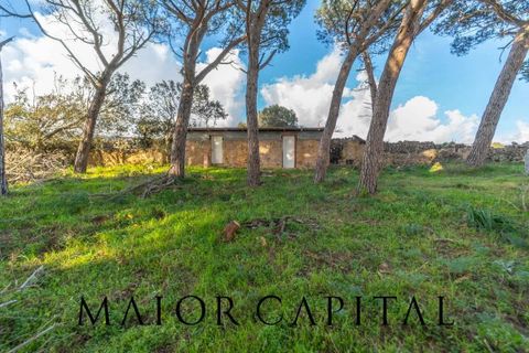 Villa i Luogosanto, Sassari, Luogosanto - € 595.000 | Ref: PLV-01-25 - foto 32