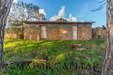 Villa i Luogosanto, Sassari, Luogosanto - € 595.000 | Ref: PLV-01-25 - foto 33