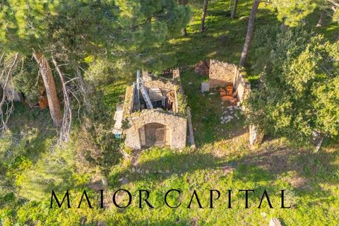 Villa i Luogosanto, Sassari, Luogosanto - € 595.000 | Ref: PLV-01-25 - foto 35