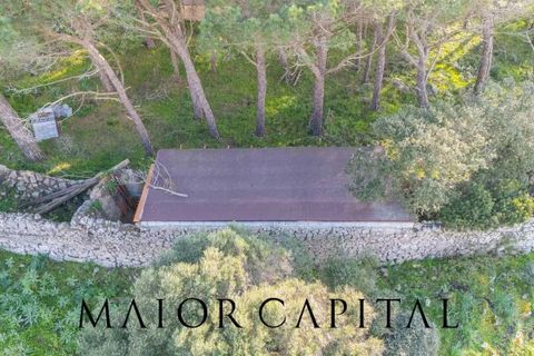Villa i Luogosanto, Sassari, Luogosanto - € 595.000 | Ref: PLV-01-25 - foto 36