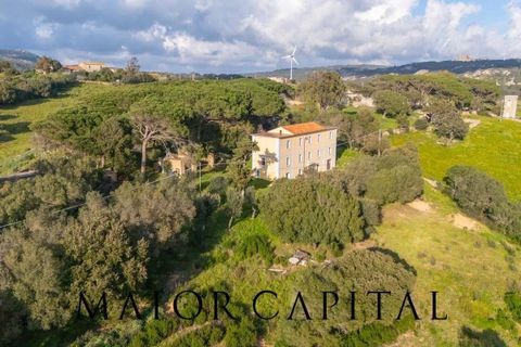 Villa i Luogosanto, Sassari, Luogosanto - € 595.000 | Ref: PLV-01-25 - foto 37