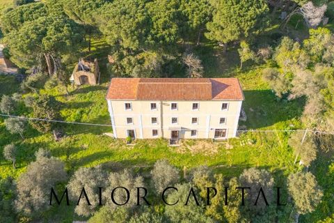 Villa i Luogosanto, Sassari, Luogosanto - € 595.000 | Ref: PLV-01-25 - foto 39