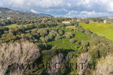 Villa i Luogosanto, Sassari, Luogosanto - € 595.000 | Ref: PLV-01-25 - foto 40
