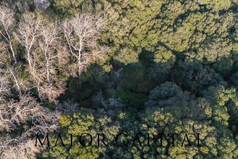 Villa i Luogosanto, Sassari, Luogosanto - € 595.000 | Ref: PLV-01-25 - foto 41