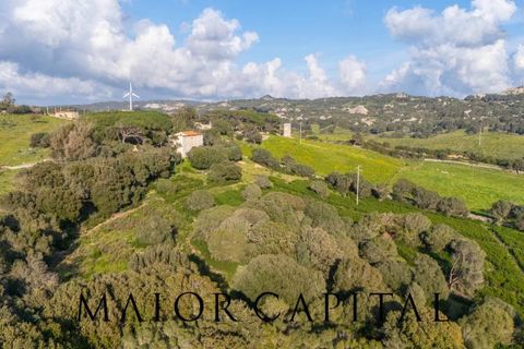 Villa i Luogosanto, Sassari, Luogosanto - € 595.000 | Ref: PLV-01-25 - foto 42