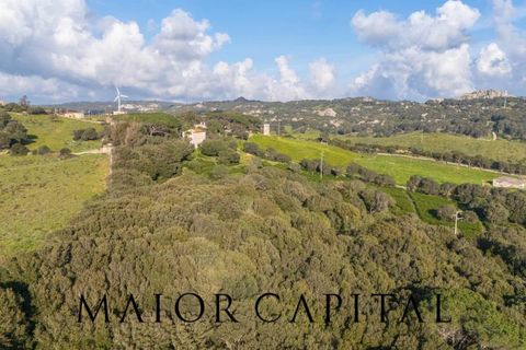 Villa i Luogosanto, Sassari, Luogosanto - € 595.000 | Ref: PLV-01-25 - foto 43