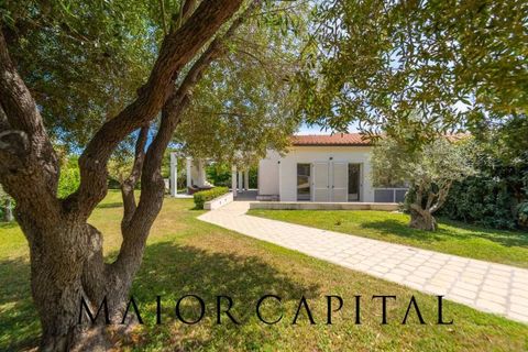 Villa a Siniscola, Nuoro, Siniscola - € 580.000 | Ref: SNV-05-25 - foto 37