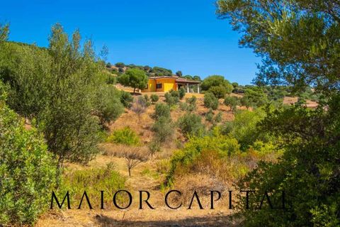 Villa a Siniscola, Nuoro, Siniscola - € 660.000 | Ref: SNV-09-25 - foto 23