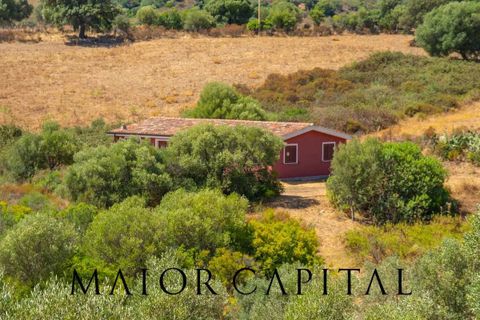 Villa a Siniscola, Nuoro, Siniscola - € 660.000 | Ref: SNV-09-25 - foto 46