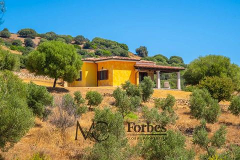 Villa i Siniscola, Nuoro, Siniscola - € 630 000 | Ref: SNV-09-25 - foto 2