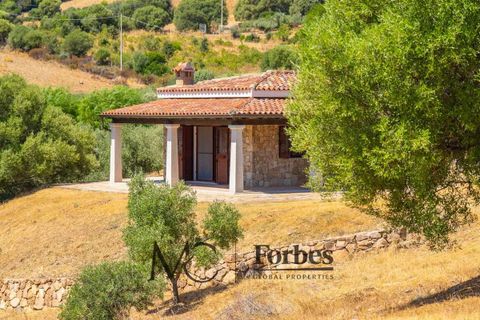 Villa i Siniscola, Nuoro, Siniscola - € 630 000 | Ref: SNV-09-25 - foto 4