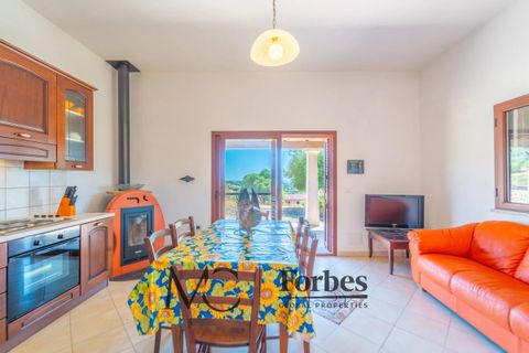 Villa i Siniscola, Nuoro, Siniscola - € 630 000 | Ref: SNV-09-25 - foto 6