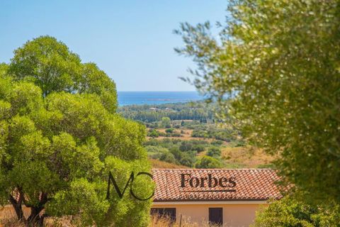 Villa i Siniscola, Nuoro, Siniscola - € 630 000 | Ref: SNV-09-25 - foto 18