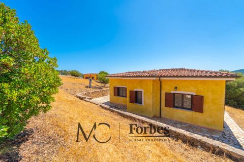 Villa i Siniscola, Nuoro, Siniscola - € 630 000 | Ref: SNV-09-25 - foto 39