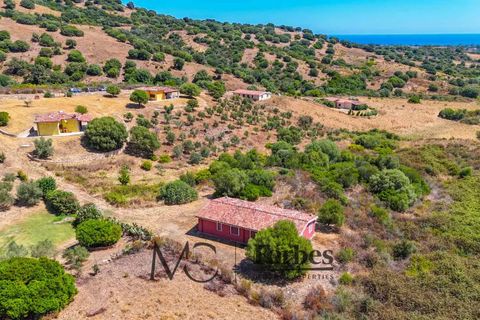 Villa i Siniscola, Nuoro, Siniscola - € 630 000 | Ref: SNV-09-25 - foto 42