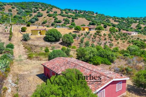 Villa i Siniscola, Nuoro, Siniscola - € 630 000 | Ref: SNV-09-25 - foto 45