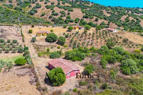 Villa i Siniscola, Nuoro, Siniscola - € 630 000 | Ref: SNV-09-25 - foto 46