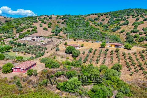 Villa i Siniscola, Nuoro, Siniscola - € 630 000 | Ref: SNV-09-25 - foto 47