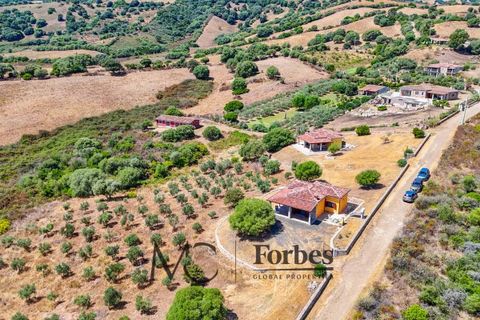 Villa i Siniscola, Nuoro, Siniscola - € 630 000 | Ref: SNV-09-25 - foto 48